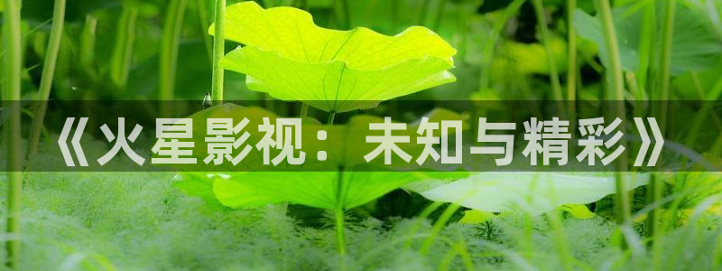 飘花电影在线播放大全：《火星影视：未知与精彩》